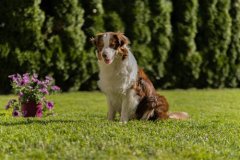 Fotoshoot-7145