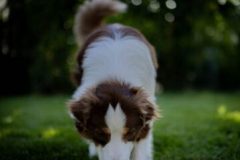 Fotoshoot-7434