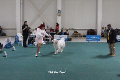 IMG_1399