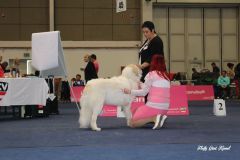 image8021