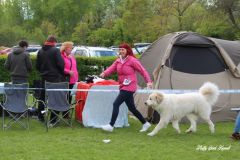 IMG_1591
