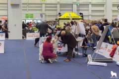 IMG_8630