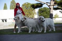 Profil_Tulln023_465