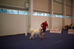 Profil_Tulln023_31