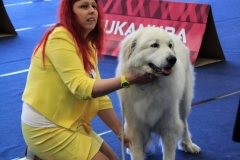 IMG_2172-2