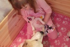 Welpen_24