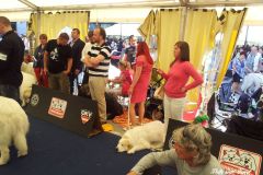 WORLD_DOG_SHOW_Salzburg_2012_Bild_002