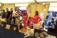 WORLD_DOG_SHOW_Salzburg_2012_Bild_003