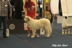 WORLD_DOG_SHOW_Salzburg_2012_Bild_007