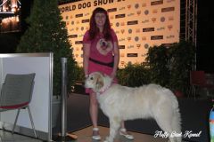 WORLD_DOG_SHOW_Salzburg_2012_Bild_009