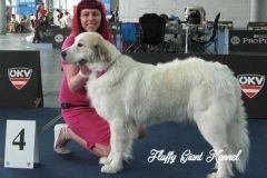 WORLD_DOG_SHOW_Salzburg_2012_Bild_011