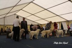 WORLD_DOG_SHOW_Salzburg_2012_Bild_012