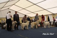 WORLD_DOG_SHOW_Salzburg_2012_Bild_013