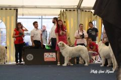 WORLD_DOG_SHOW_Salzburg_2012_Bild_017